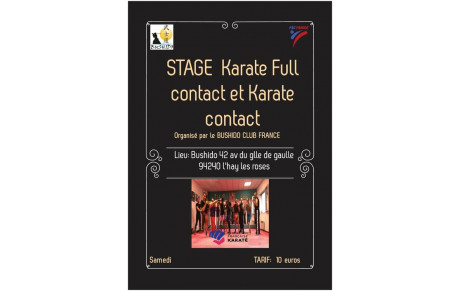 Prevision de stages au Bushido club france 